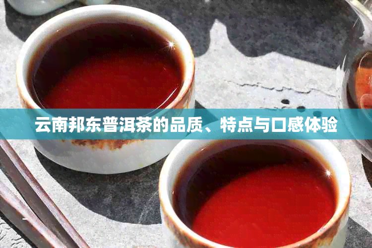 云南邦东普洱茶的品质、特点与口感体验