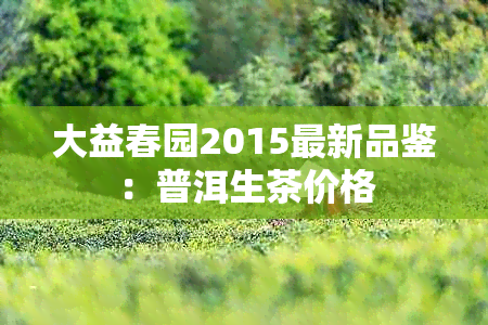 大益春园2015最新品鉴：普洱生茶价格