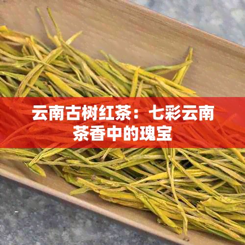 云南古树红茶：七彩云南茶香中的瑰宝