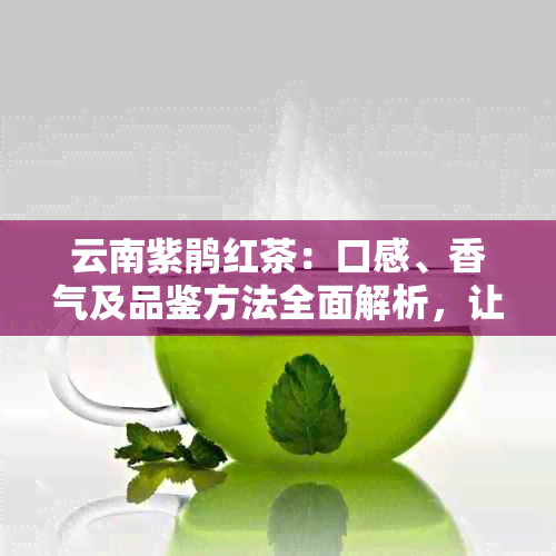 云南紫鹃红茶：口感、香气及品鉴方法全面解析，让你深入了解这款茶的魅力