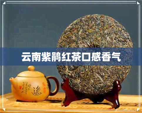 云南紫鹃红茶口感香气