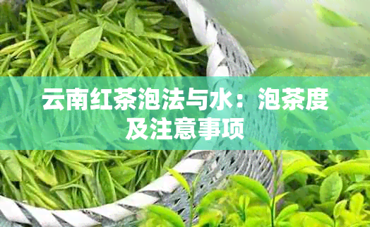 云南红茶泡法与水：泡茶度及注意事项