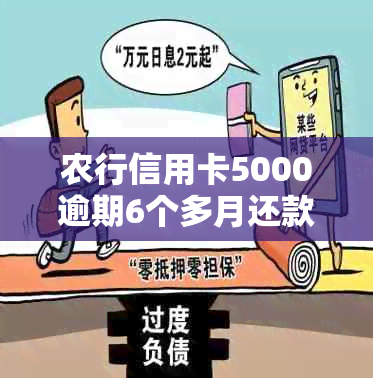 农行信用卡5000逾期6个多月还款详情及处理方法，请问我的情况会怎样？