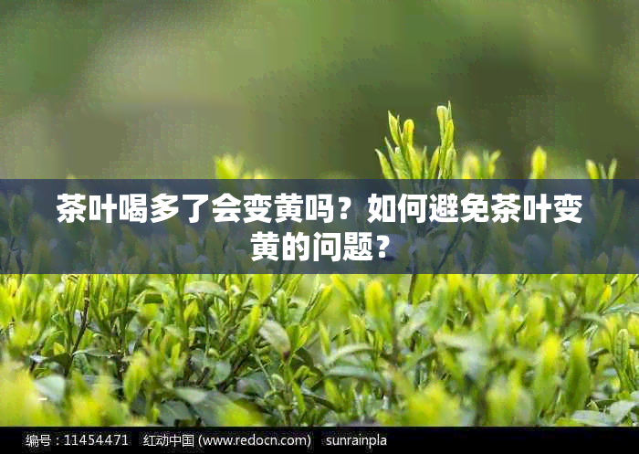 茶叶喝多了会变黄吗？如何避免茶叶变黄的问题？