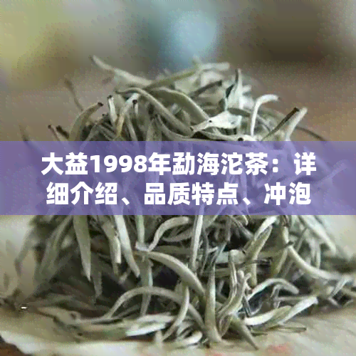 大益1998年勐海沱茶：详细介绍、品质特点、冲泡方法与收藏价值