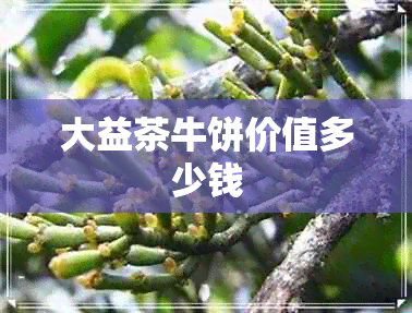 大益茶牛饼价值多少钱