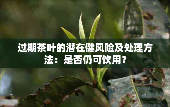 过期茶叶的潜在健风险及处理方法：是否仍可饮用？