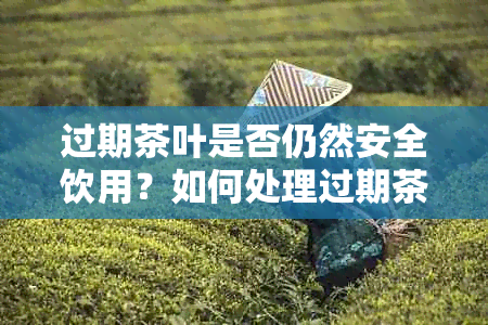 过期茶叶是否仍然安全饮用？如何处理过期茶叶？