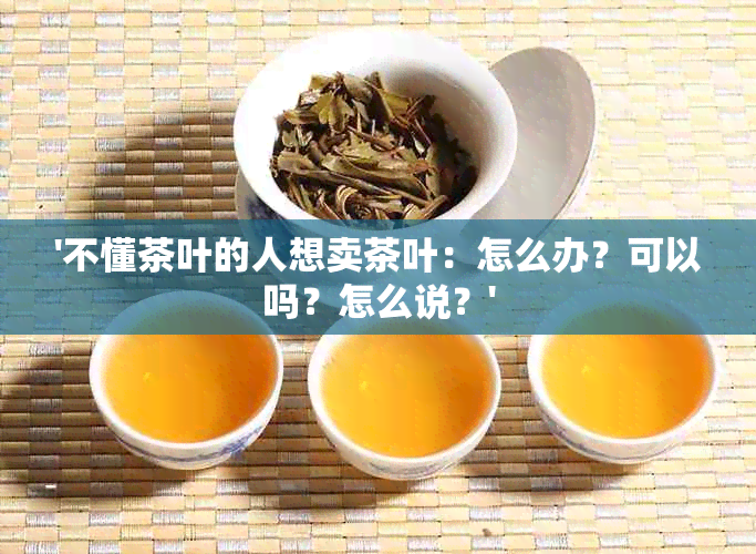 '不懂茶叶的人想卖茶叶：怎么办？可以吗？怎么说？'