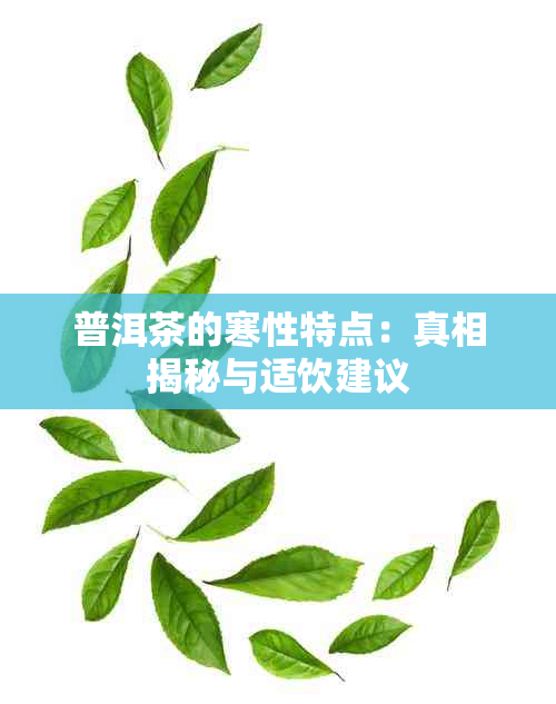 普洱茶的寒性特点：真相揭秘与适饮建议