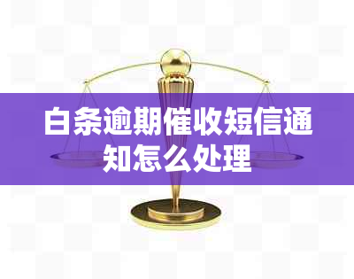 白条逾期短信通知怎么处理