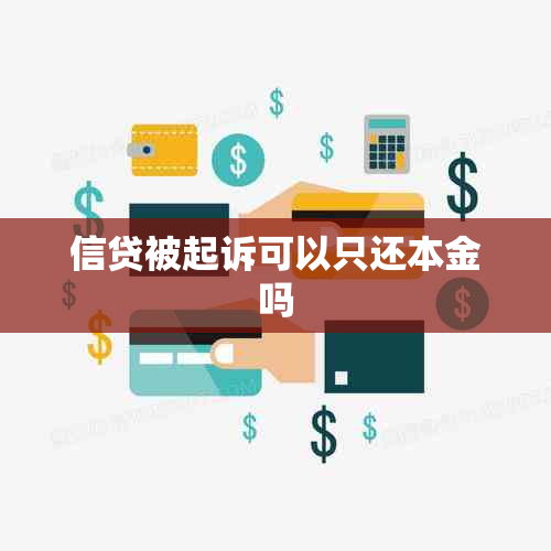 信贷被起诉可以只还本金吗