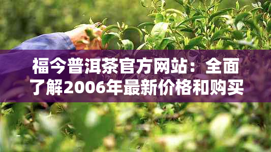 福今普洱茶官方网站：全面了解2006年最新价格和购买渠道