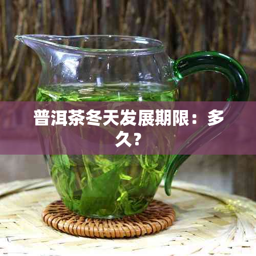 普洱茶冬天发展期限：多久？