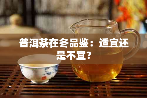 普洱茶在冬品鉴：适宜还是不宜？