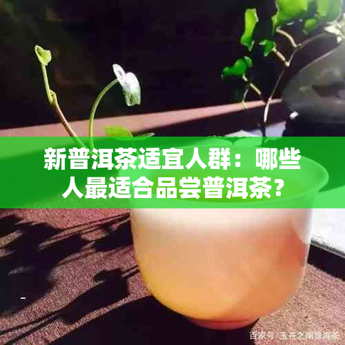 新普洱茶适宜人群：哪些人最适合品尝普洱茶？