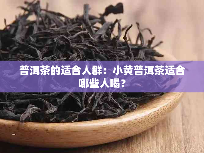 普洱茶的适合人群：小黄普洱茶适合哪些人喝？