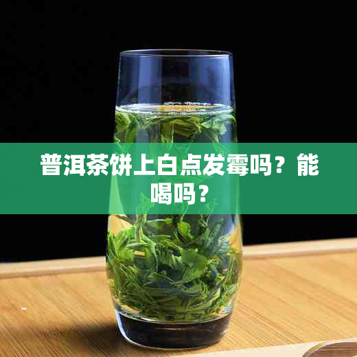 普洱茶饼上白点发霉吗？能喝吗？