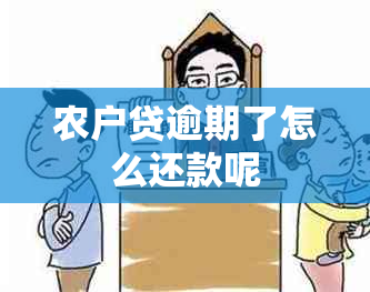 农户贷逾期了怎么还款呢