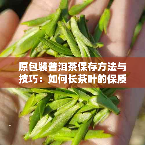 原包装普洱茶保存方法与技巧：如何长茶叶的保质期并保持其口感和香气？