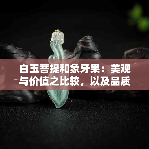 白玉菩提和象牙果：美观与价值之比较，以及品质鉴别