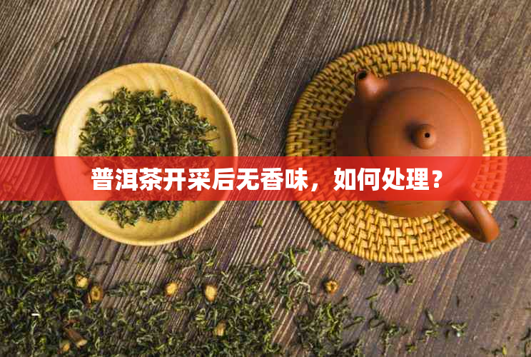 普洱茶开采后无香味，如何处理？