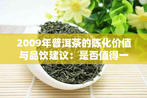 2009年普洱茶的陈化价值与品饮建议：是否值得一试？