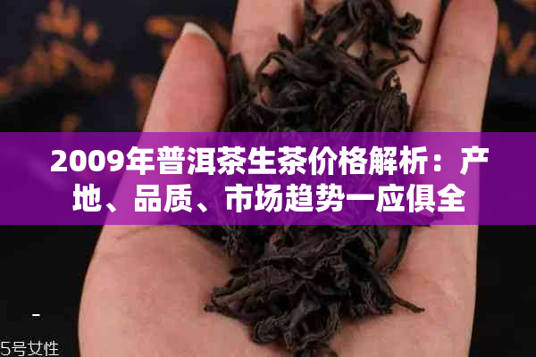 2009年普洱茶生茶价格解析：产地、品质、市场趋势一应俱全