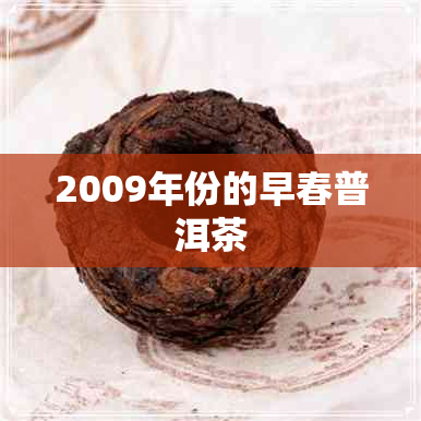 2009年份的早春普洱茶