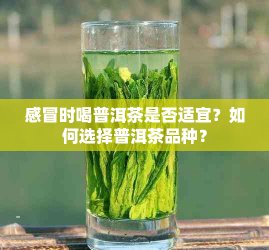 感冒时喝普洱茶是否适宜？如何选择普洱茶品种？