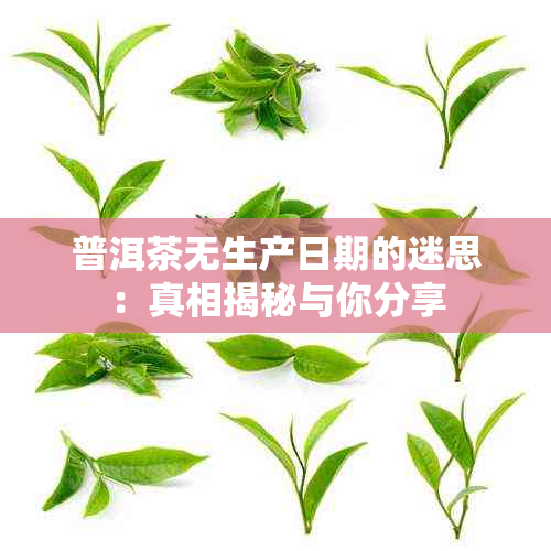 普洱茶无生产日期的迷思：真相揭秘与你分享