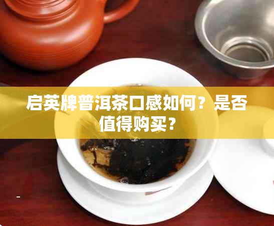 启英牌普洱茶口感如何？是否值得购买？