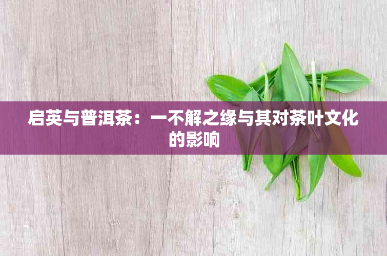 启英与普洱茶：一不解之缘与其对茶叶文化的影响