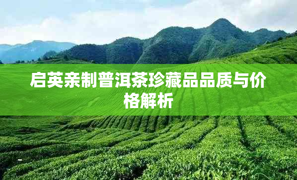 启英亲制普洱茶珍藏品品质与价格解析