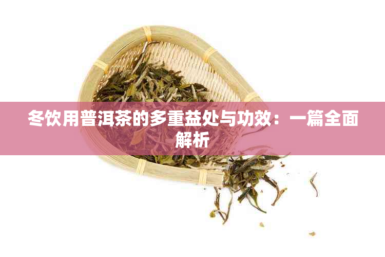 冬饮用普洱茶的多重益处与功效：一篇全面解析