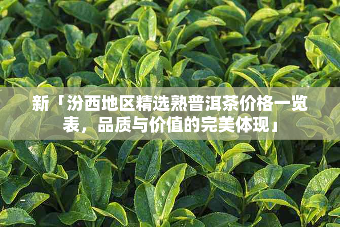 新「汾西地区精选熟普洱茶价格一览表，品质与价值的完美体现」