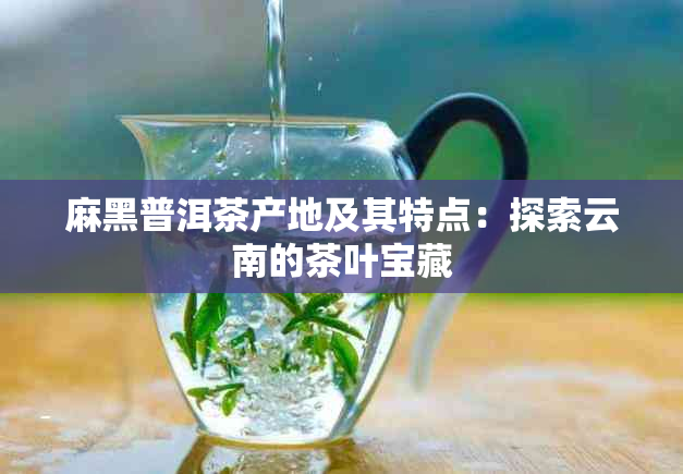 麻黑普洱茶产地及其特点：探索云南的茶叶宝藏