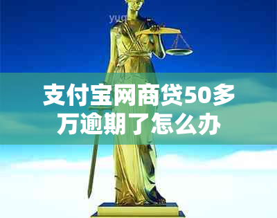 支付宝网商贷50多万逾期了怎么办