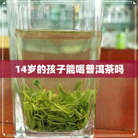 14岁的孩子能喝普洱茶吗