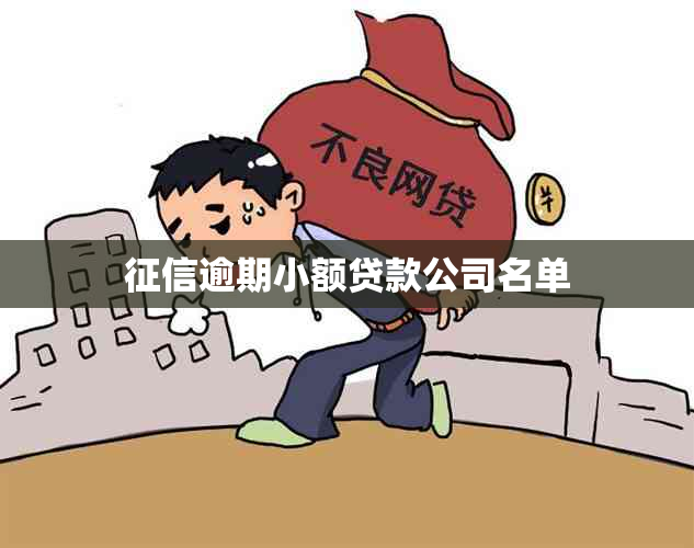 逾期小额贷款公司名单