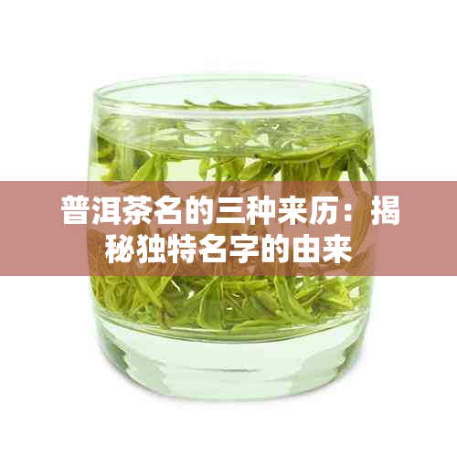 普洱茶名的三种来历：揭秘独特名字的由来