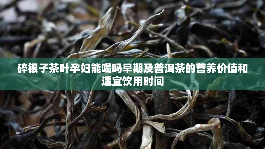 碎银子茶叶孕妇能喝吗早期及普洱茶的营养价值和适宜饮用时间