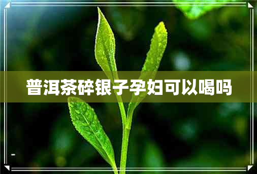 普洱茶碎银子孕妇可以喝吗