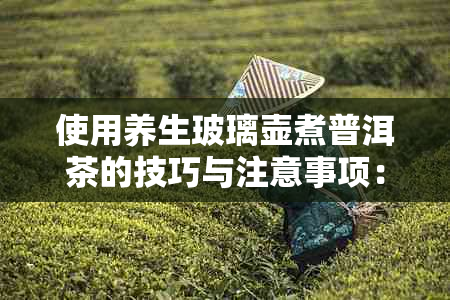 使用养生玻璃壶煮普洱茶的技巧与注意事项：如何正确选择、泡制和品鉴？