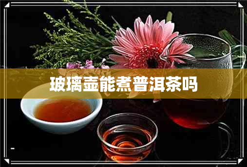 玻璃壶能煮普洱茶吗