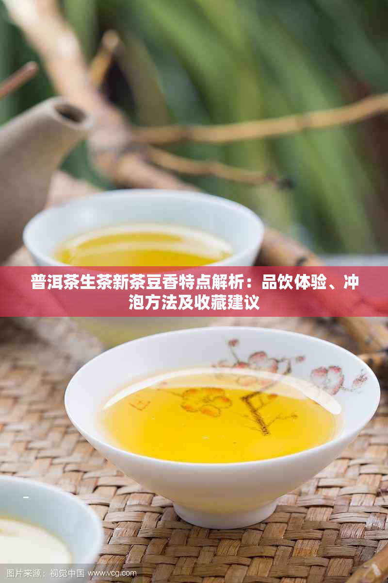 普洱茶生茶新茶豆香特点解析：品饮体验、冲泡方法及收藏建议