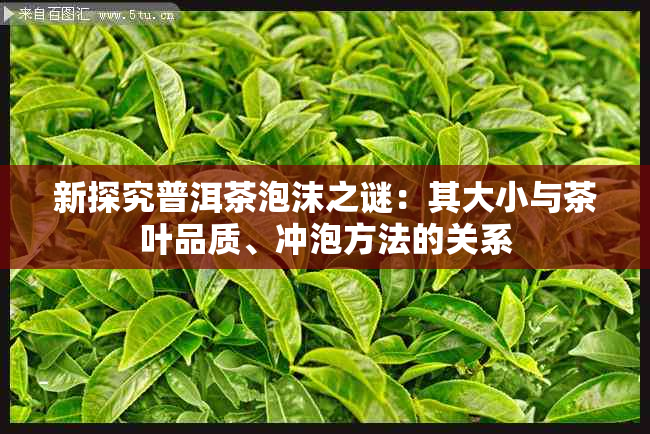 新探究普洱茶泡沫之谜：其大小与茶叶品质、冲泡方法的关系