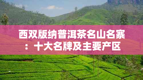 西双版纳普洱茶名山名寨：十大名牌及主要产区