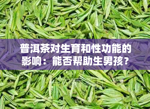 普洱茶对生育和性功能的影响：能否帮助生男孩？