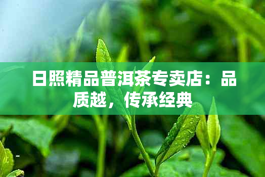 日照精品普洱茶专卖店：品质越，传承经典